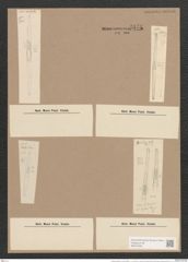 Synedra pulchella var. smithii (Ralfs). V. H. (de-Toni-Nr.: Genus 66, Species 2582) Zeichnungen Sammlung Grunow Nr. 5171 (NHMW-BOT-W0373495)